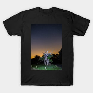 The 800 year old Laund Oak Tree and the night sky IMG-5844 RB T-Shirt